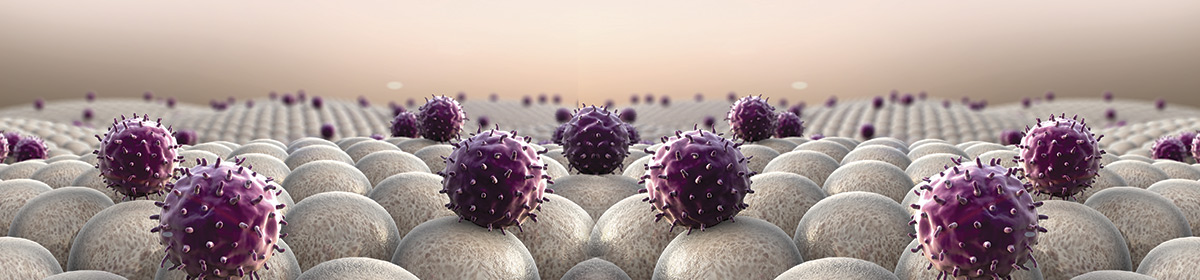 Microrganismos e sua influência no sistema imune