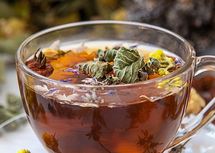 Boldo oferece benefícios a saúde