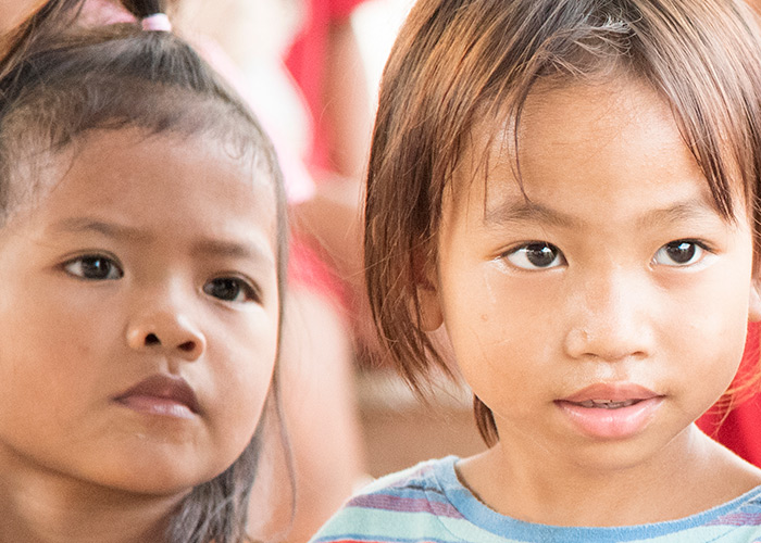 Múltiplos efeitos do probiótico LcS