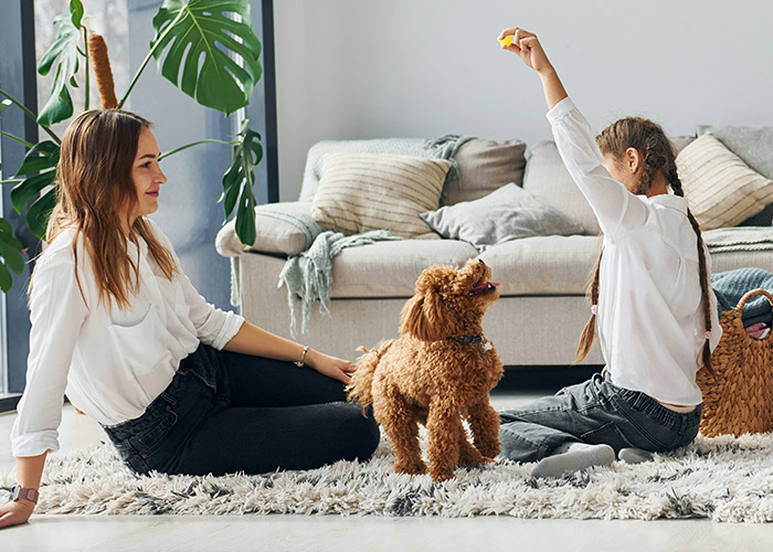 Pet traz sensação de felicidade