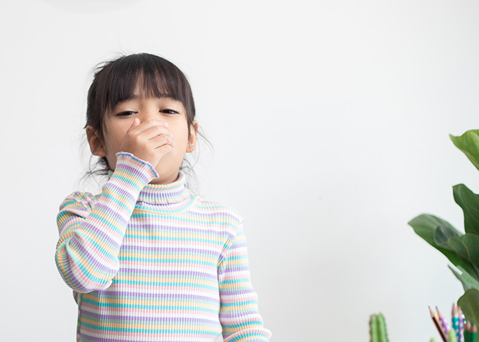 Ácaros são responsáveis pelas crises respiratórias