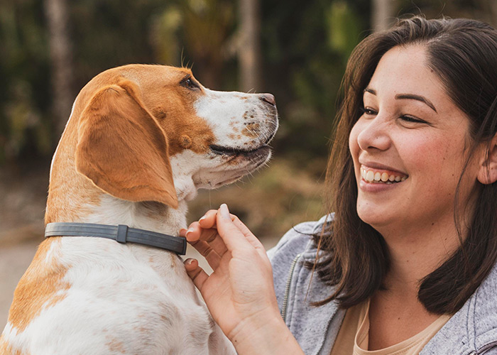 Terapia Assistida por Animais é benéfica