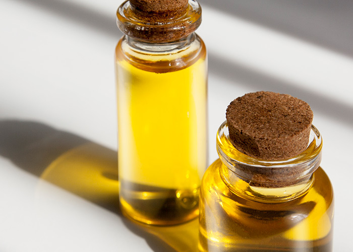 Espécie nativa encontrada na Amazônia