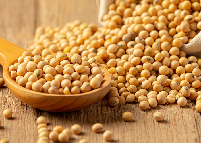 Principais fitoquímicos da soja