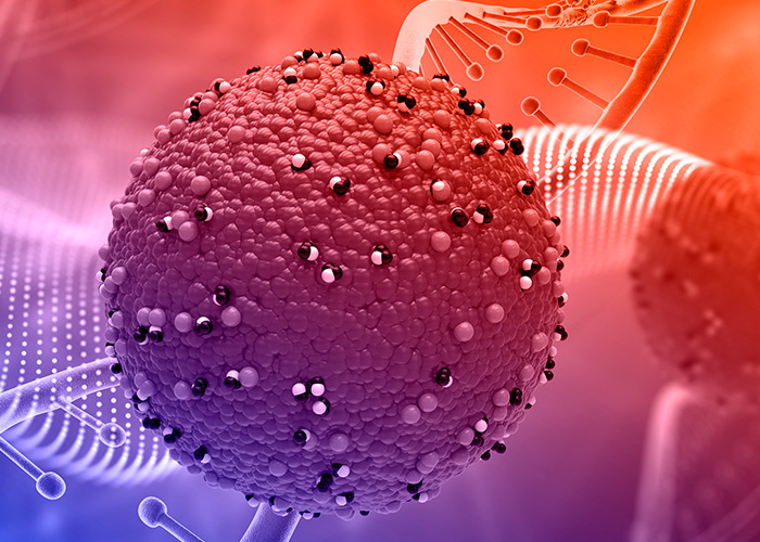 Potencial alvo terapêutico do MPM