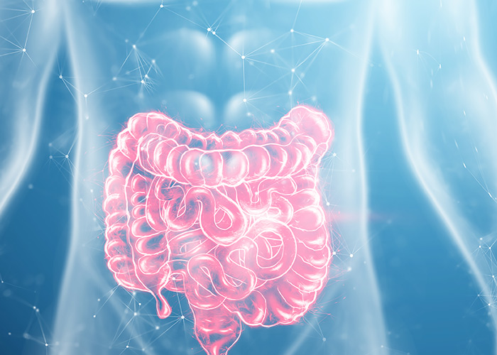 Alteração da microbiota no câncer colorretal