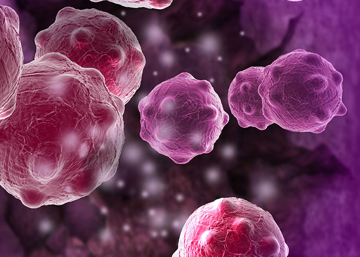 Bebidas probióticas contendo LcS