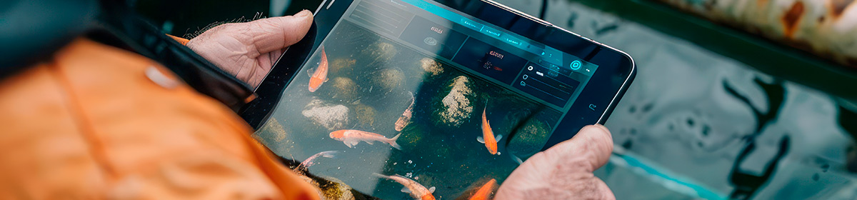 Fermentação de pseudocaule de banana