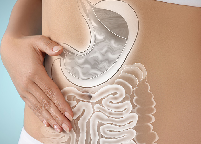 Complexidade dos ecossistemas intestinais