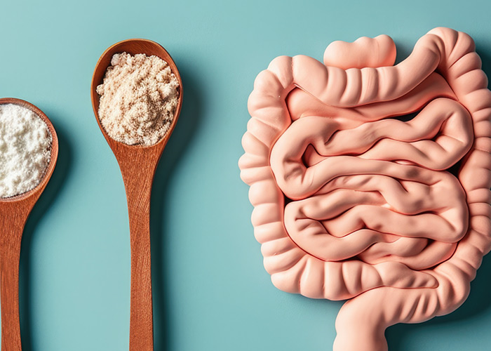 Modulação do ambiente intestinal