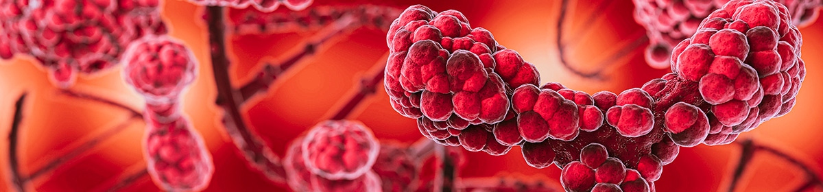 Células dos linfonodos sofrem mutações