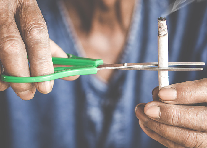 Microbiota intestinal e o câncer de bexiga