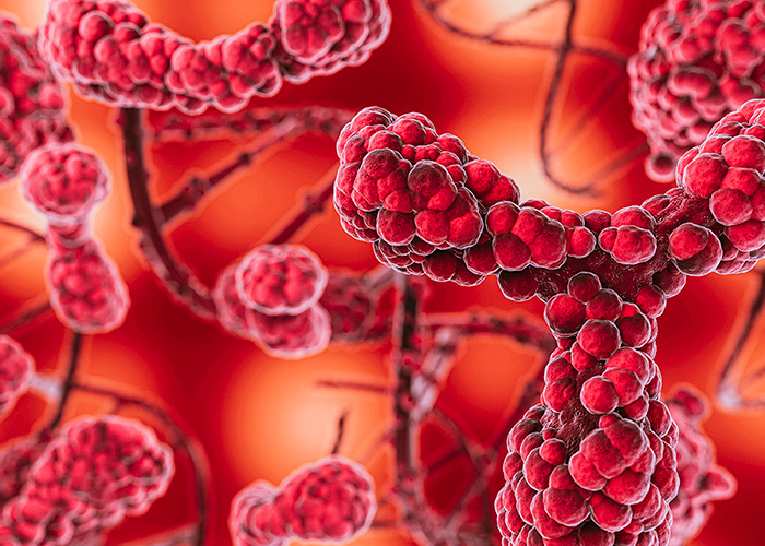 Células dos linfonodos sofrem mutações