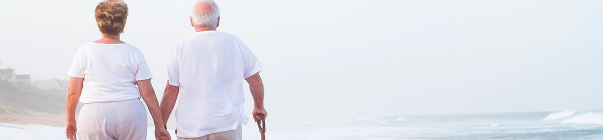 UDESC desenvolve o Projeto SC100