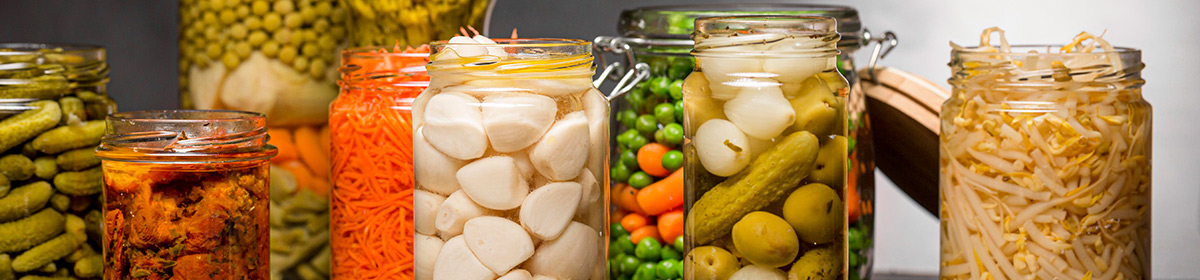 Alimentos funcionais contendo moléculas bioativas