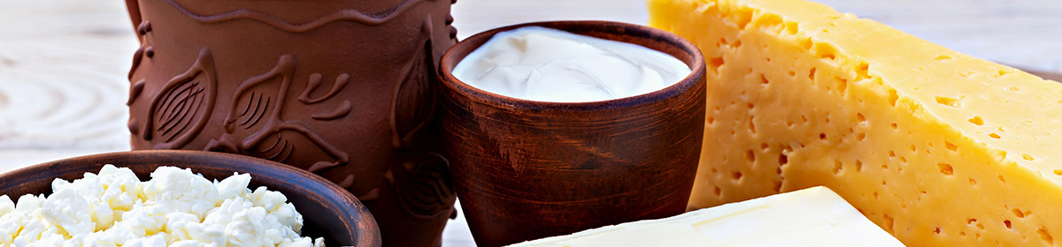 Bactérias ácido láticas