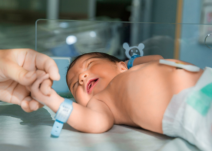 Definição e funcionalidades dos probióticos