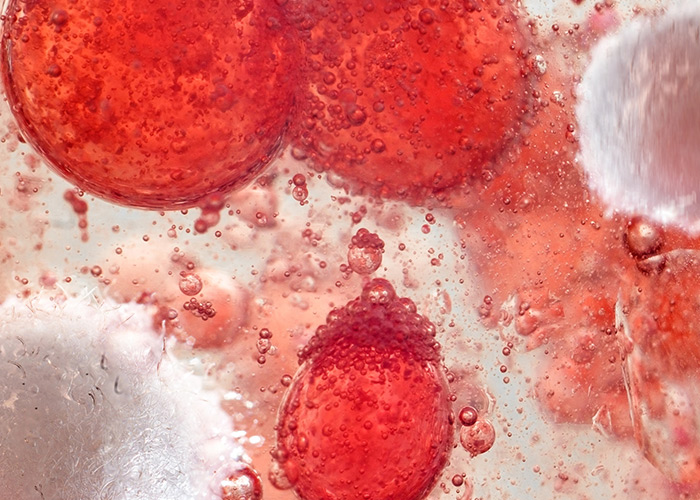 Impactar a microbiota intestinal