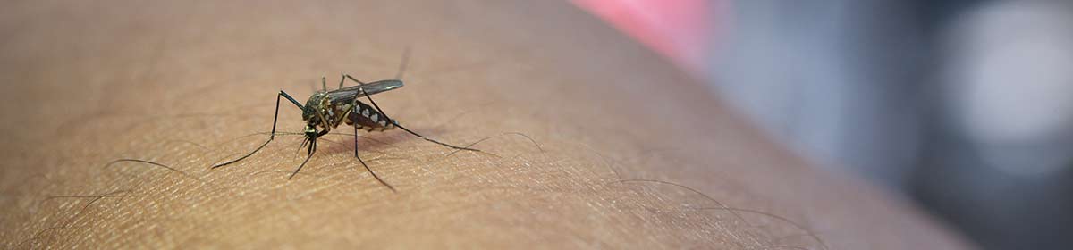 Reações alérgicas