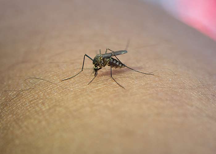 Reações alérgicas