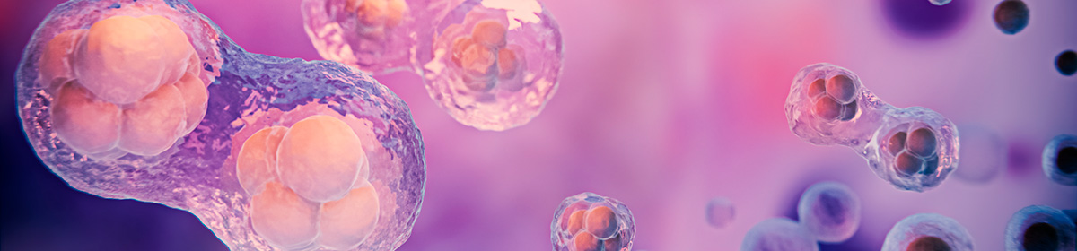 Benefícios dos probióticos