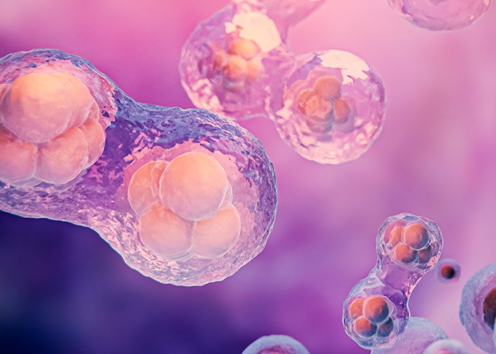 Benefícios dos probióticos