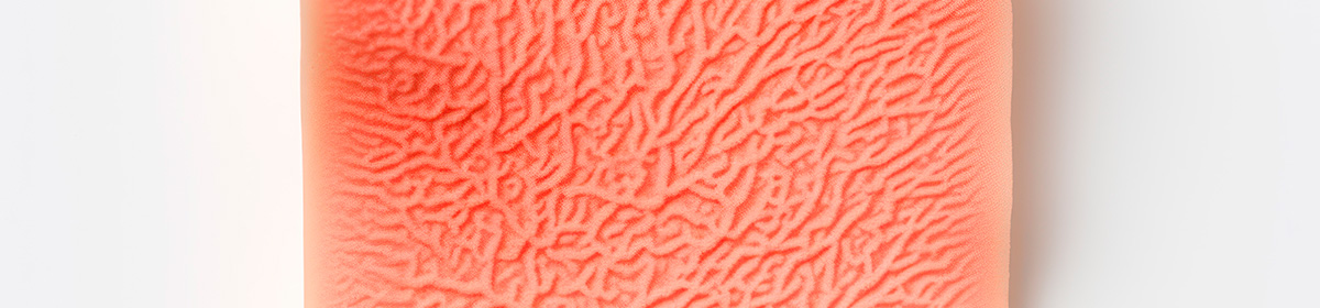 Hipoderme epiderme e derme