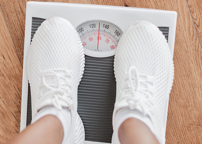 Microbiota intestinal e a obesidade