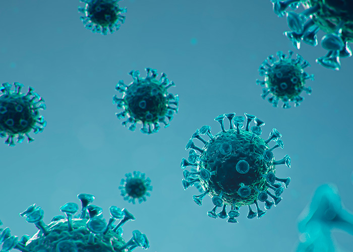 Metapneumovírus humano