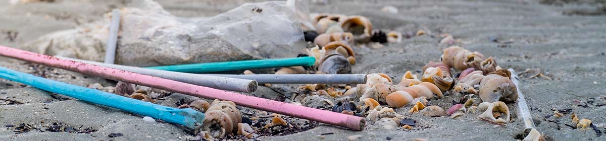 Microplásticos no cérebro