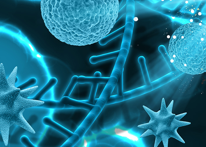 International Space Station