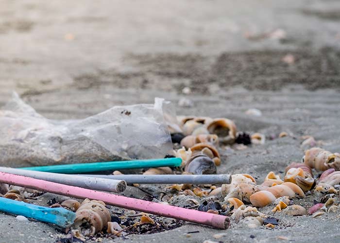 Microplásticos no cérebro