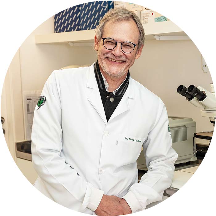 Amostras de diversos tipos