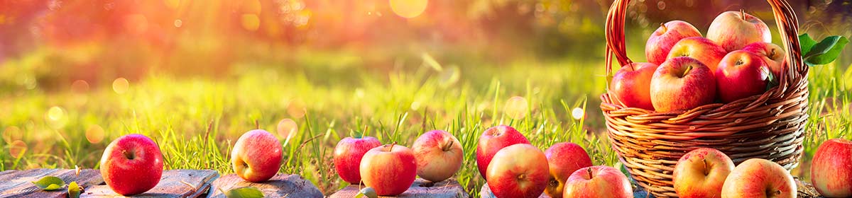 Unidade fabril Fruticasa