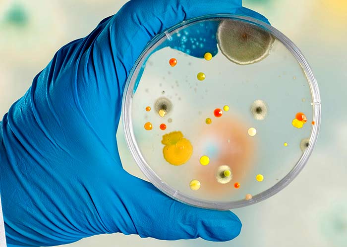 Bactérias resistentes a antibióticos