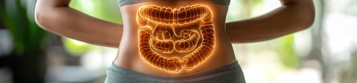 Funcionamento do intestino