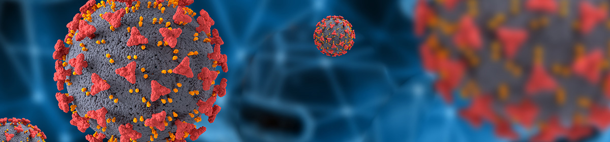 Imunodeficiências primárias