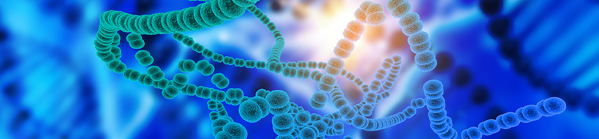 Microbioma humano