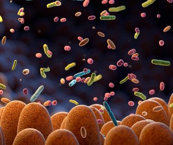 materia-da-edicao-as-funcoes-dinamicas-das-bacteriocinas Bacteriocinas são peptídeos antimicrobianos