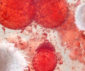 materia-da-edicao-probioticos-microbioma-intestinal-e-sistema-imunologico Impactar a microbiota intestinal