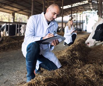 materia-da-edicao-probioticos-na-racao-animal Facilitou o uso de probióticos