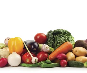 destaque-microbiota-dieta destaque-microbiota-dieta