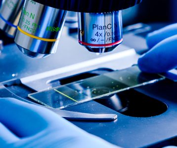 destaque-microbiota-estudo-melatonina Estudo com melatonina