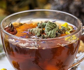 destaque-nutricao-super-saudavel-boldo-oferece-beneficios-a-saude Boldo oferece benefícios a saúde