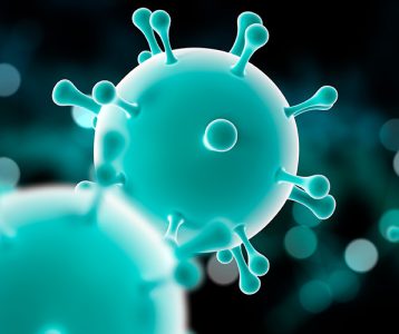 Microbiota intestinal e sistema imunológico