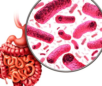 destaque-super-saudavel-edicao-101-microbiota-probioticos-estudo-investigou-microbioma-de-paciente destaque-super-saudavel-edicao-101-microbiota-probioticos-estudo-investigou-microbioma-de-paciente