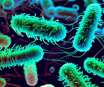 destaque-super-saudavel-edicao-103-microbiota-bacterias-intestinais destaque-super-saudavel-edicao-103-microbiota-bacterias-intestinais