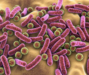 super-saudavel-edicao104-artigo-cientifico-estrutura-de-fracoes-purificadas-e-desaminacao Presença de resíduos GlcNAc em LCPS-1