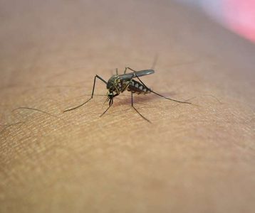 Reações alérgicas