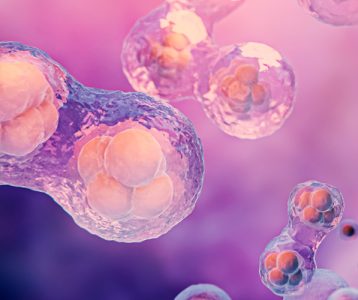 Benefícios dos probióticos